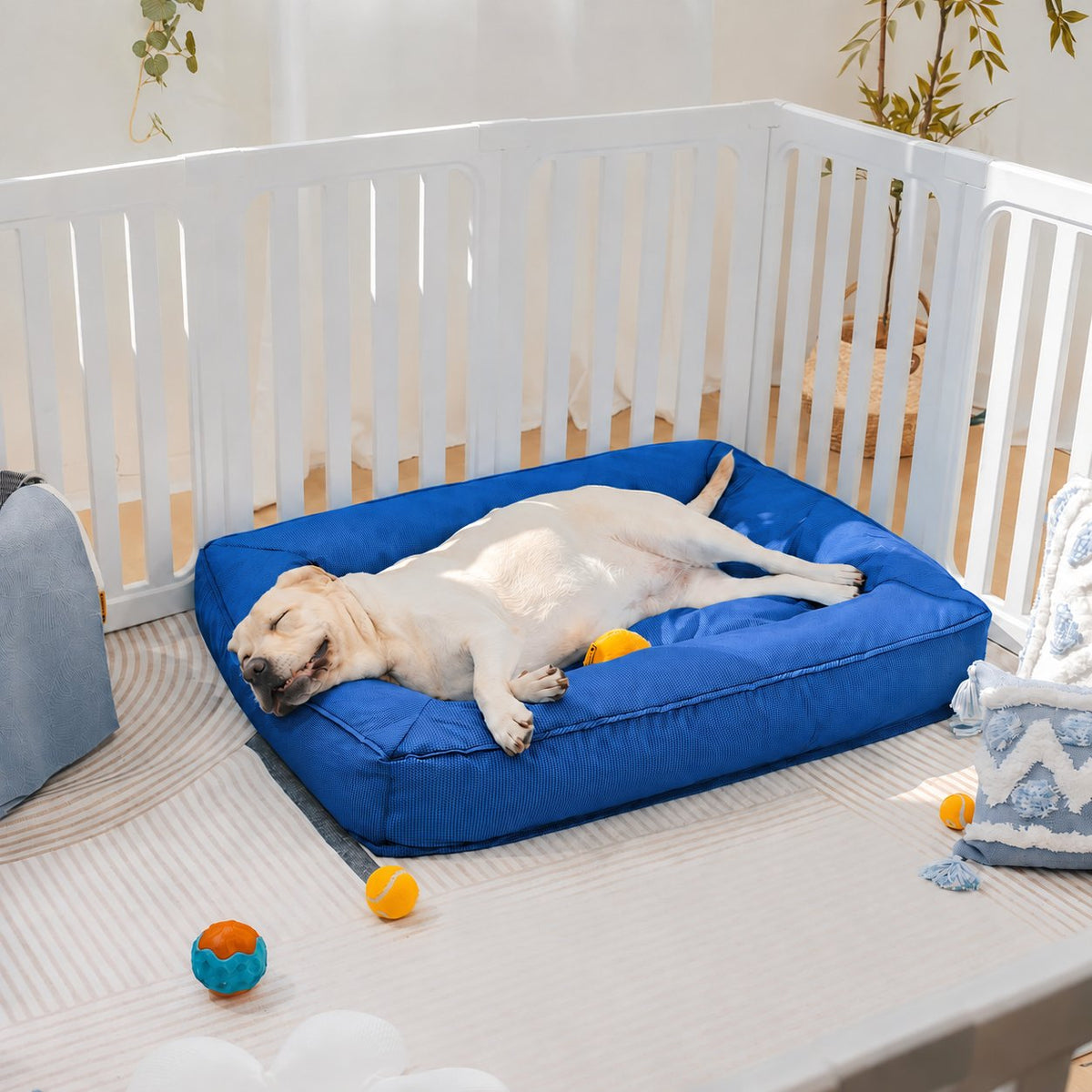Cuccia Ortopedica Impermeabile Antimorso per Cani - FidoSit