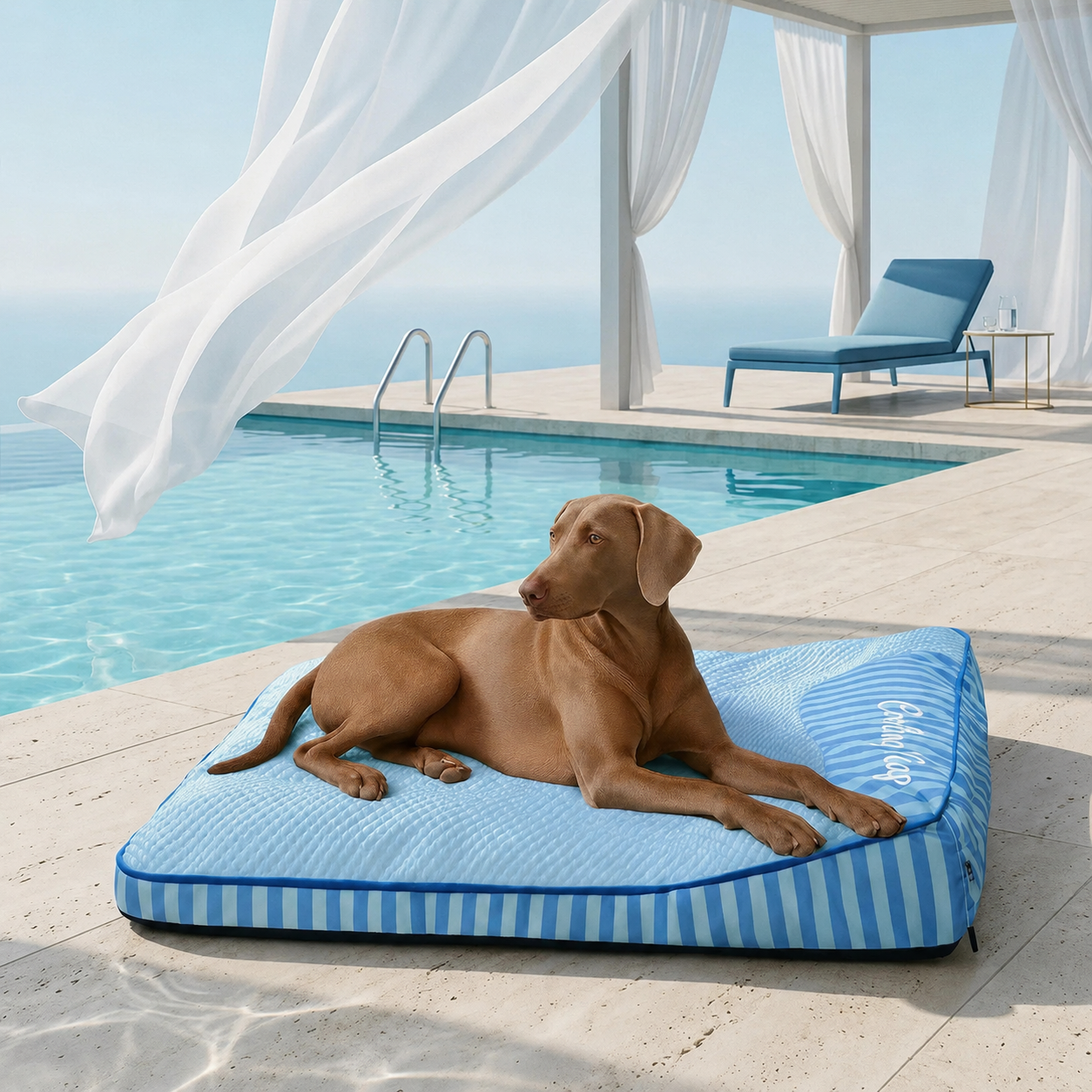 Cuccia Rinfrescante Ortopedica Lavabile per Cani - Outdoor
