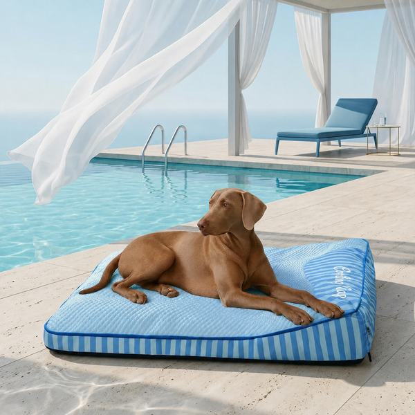 Cuccia Rinfrescante Ortopedica Lavabile per Cani - Outdoor