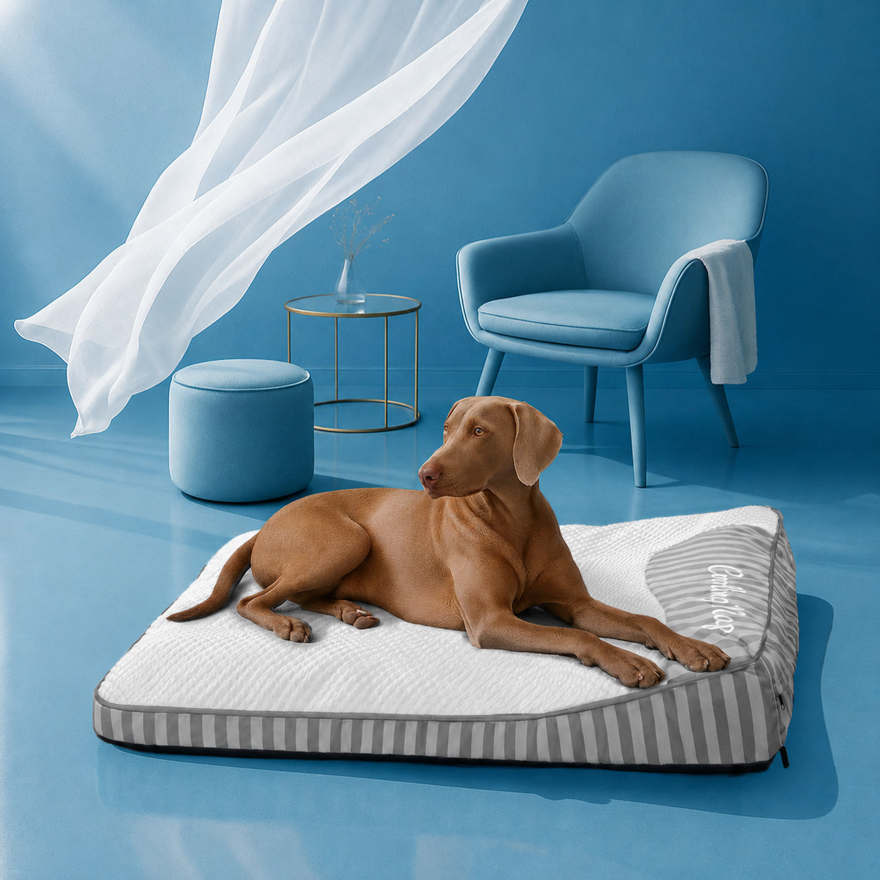 Cuccia Rinfrescante Ortopedica Lavabile per Cani - Outdoor