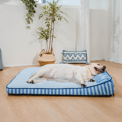 Cuccia Rinfrescante Ortopedica Lavabile per Cani - Outdoor