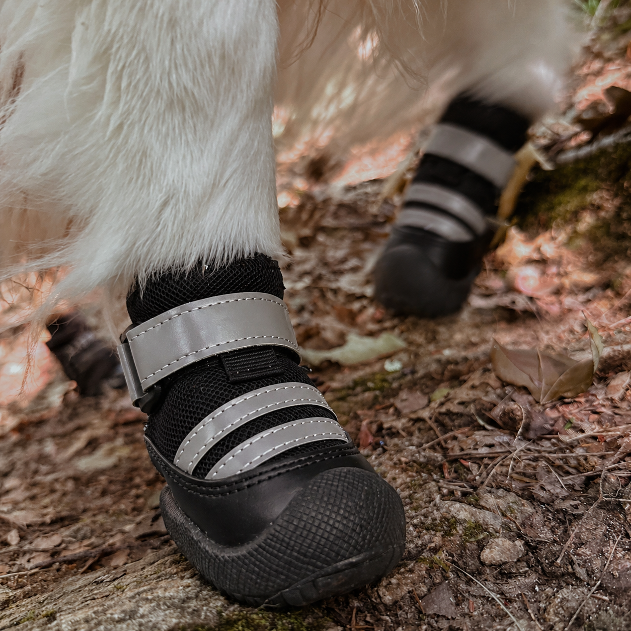 Scarpe Protettive FidoSit Set da 4 per Cani - FidoSit