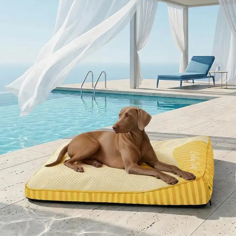 Cuccia Rinfrescante Ortopedica Lavabile per Cani - Outdoor