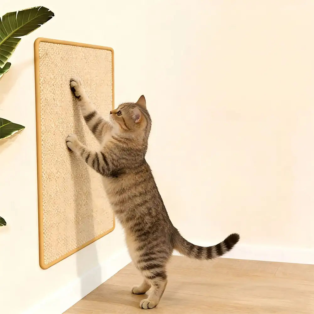 Dettaglio Texture Finto Sisal - FidoSit