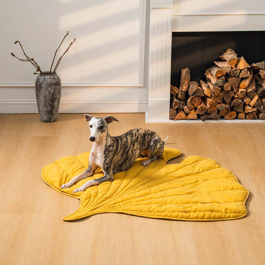 Tappetino Imbottito per Cani a Forma di Foglia