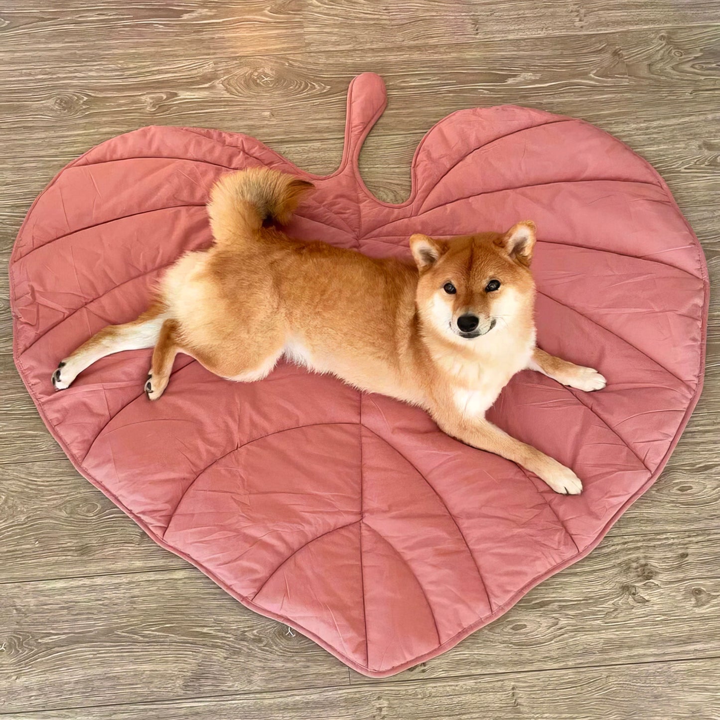 Tappetino Imbottito per Cani a Forma di Foglia - FidoSit