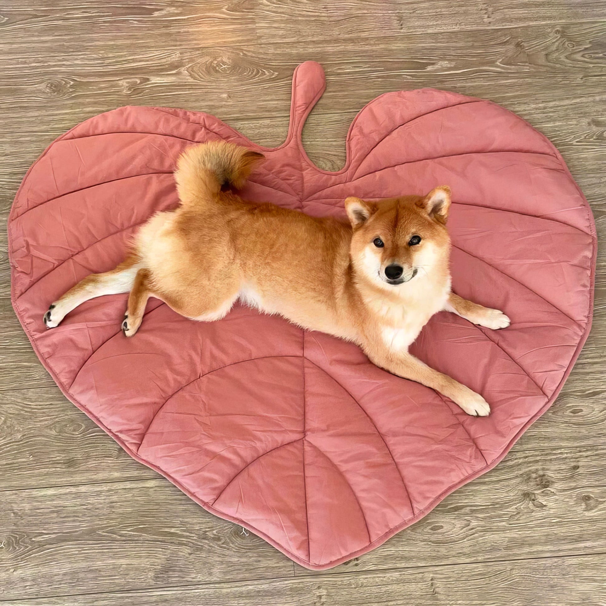 Tappetino Imbottito per Cani a Forma di Foglia - FidoSit