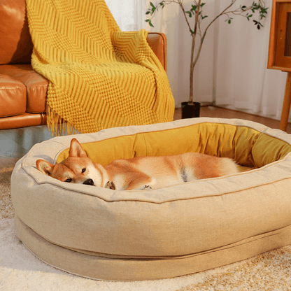 Dog resting in the Ginkgo Yellow Orthopaedic Cocoon Donut Dog Bed