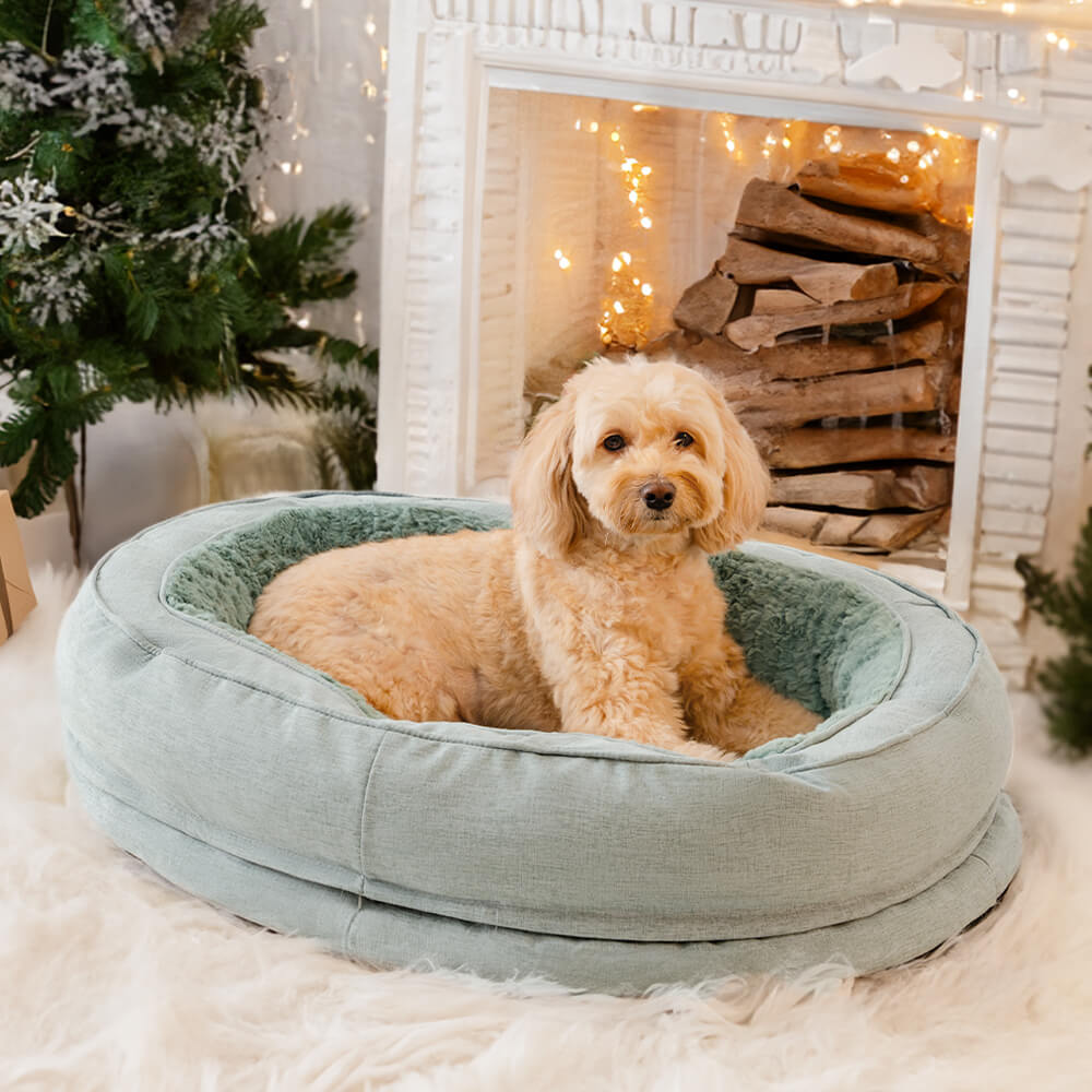 A dog relaxing in the Plush Green bed