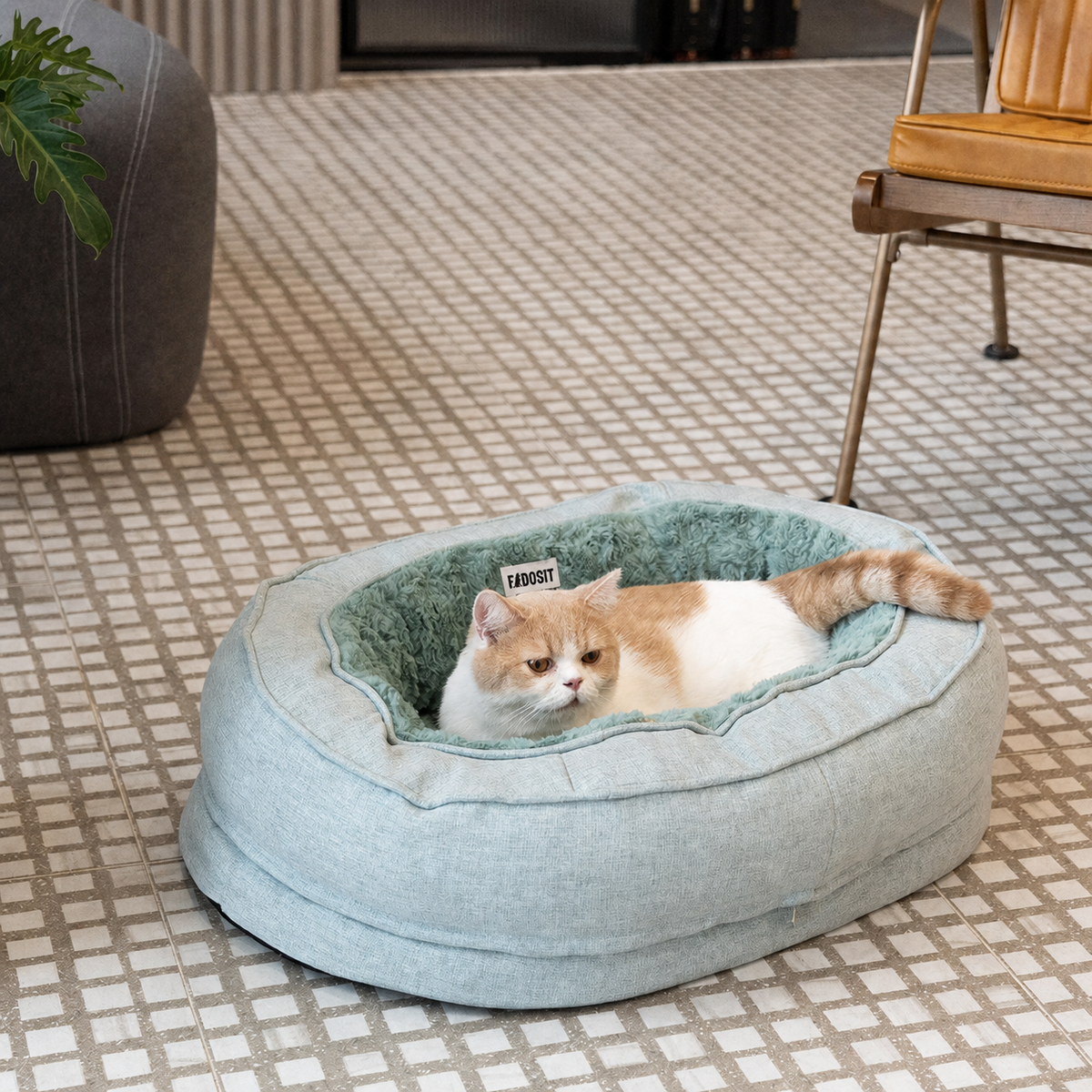 A cat in the Plush Green bed