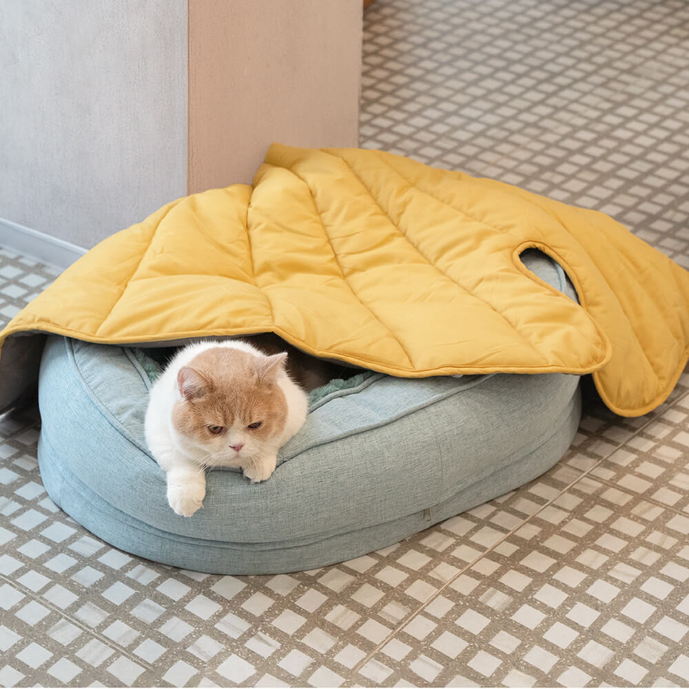 A cat in the Plush Green bed with a yellow leaf-shaped blanket