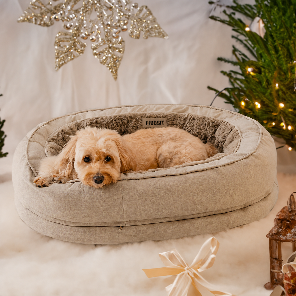 A dog relaxing in the Plush Brown bed