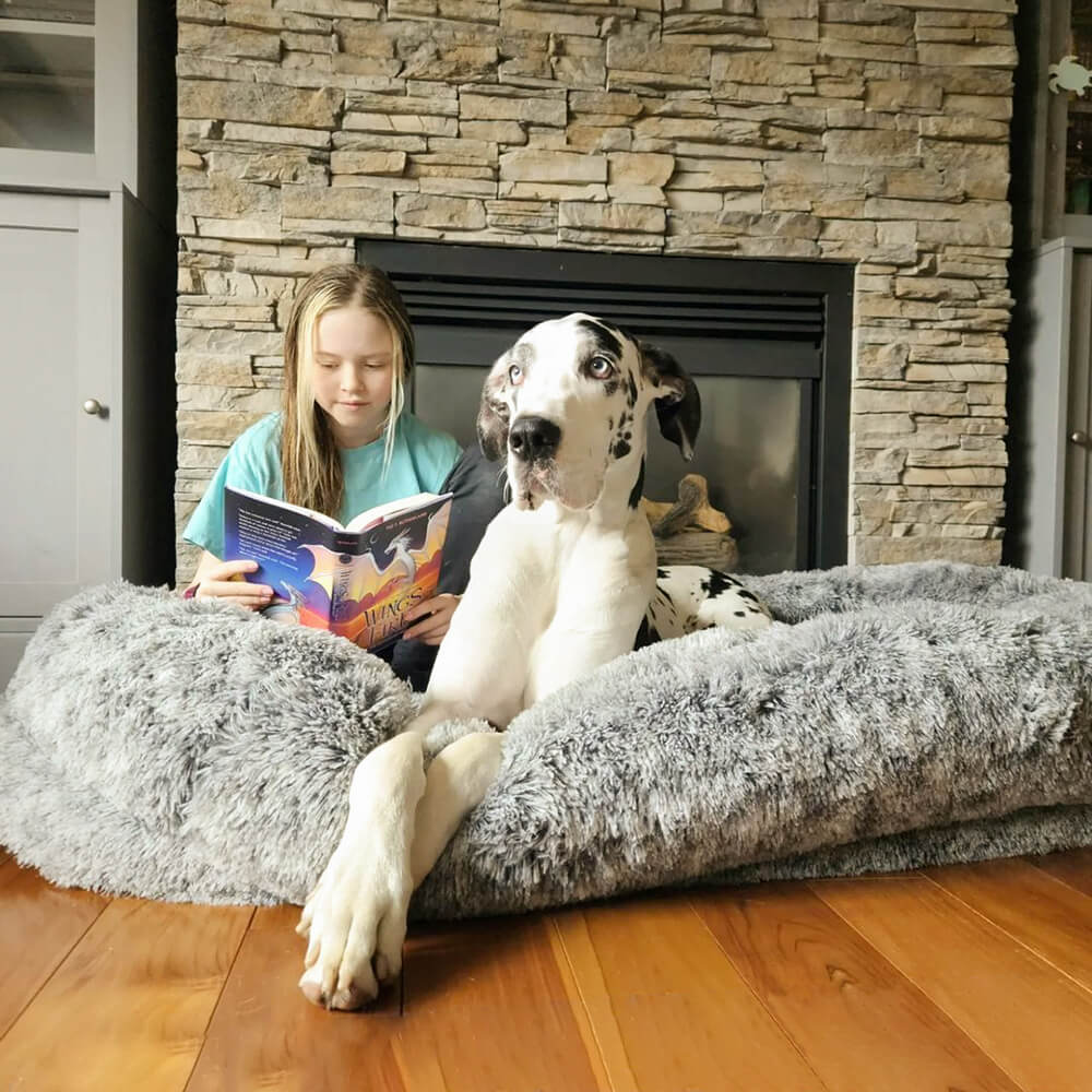 A child sitting beside a Great Dane in the Maxi Grey bed