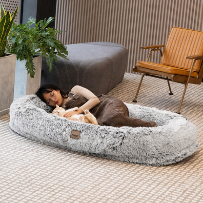 An adult and a dog resting in the Maxi Grey bed