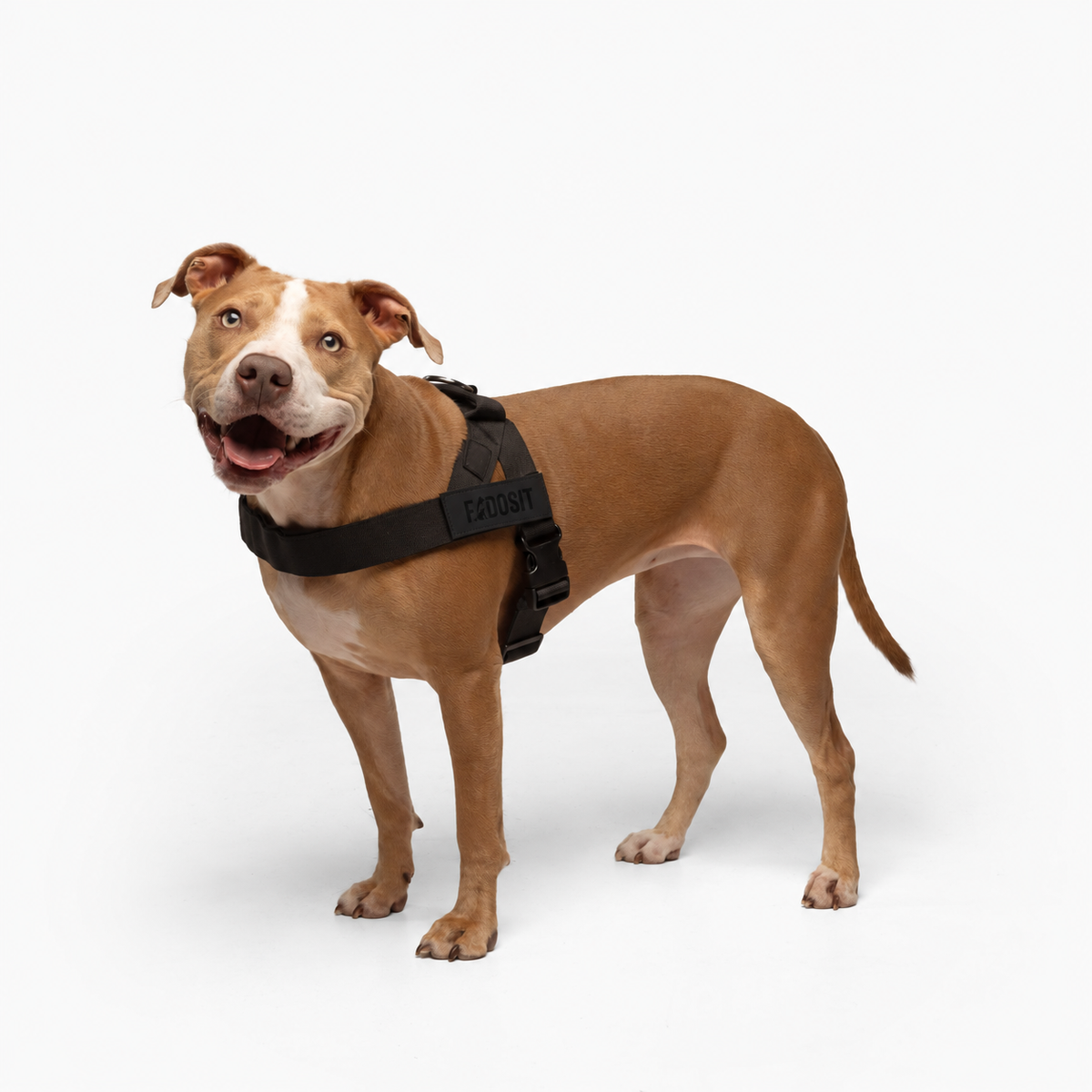 FidoSit adjustable dog harness in Black, product photo 3
