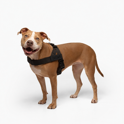 FidoSit adjustable dog harness in Black, product photo 3