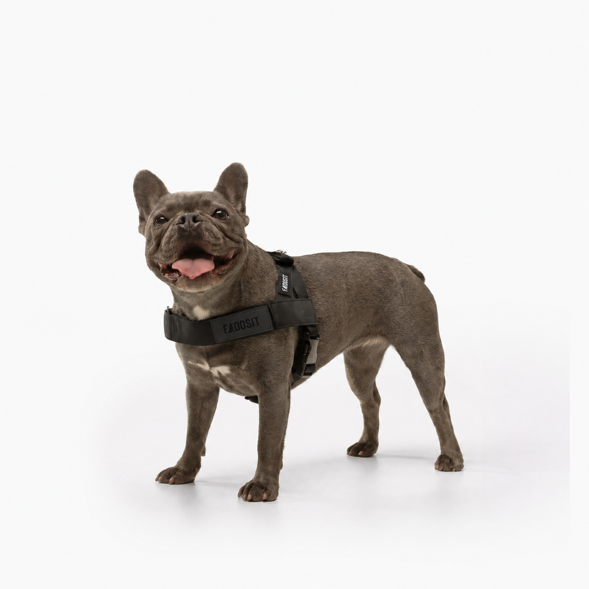 FidoSit adjustable dog harness in Black, product photo 4
