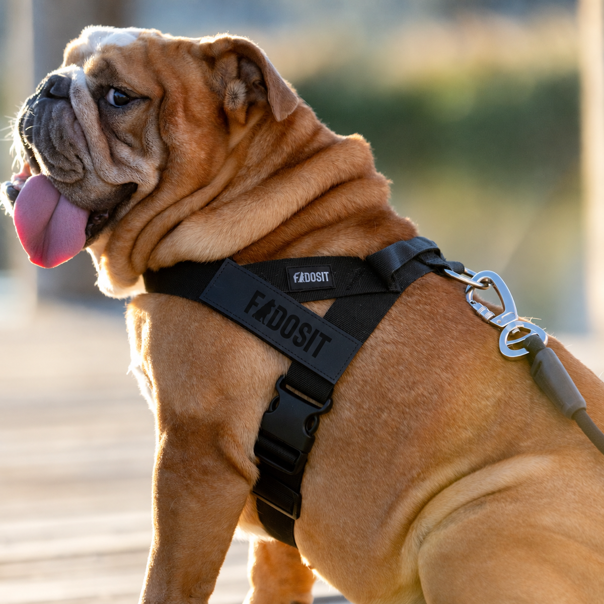 FidoSit adjustable dog harness in Black, product photo 6