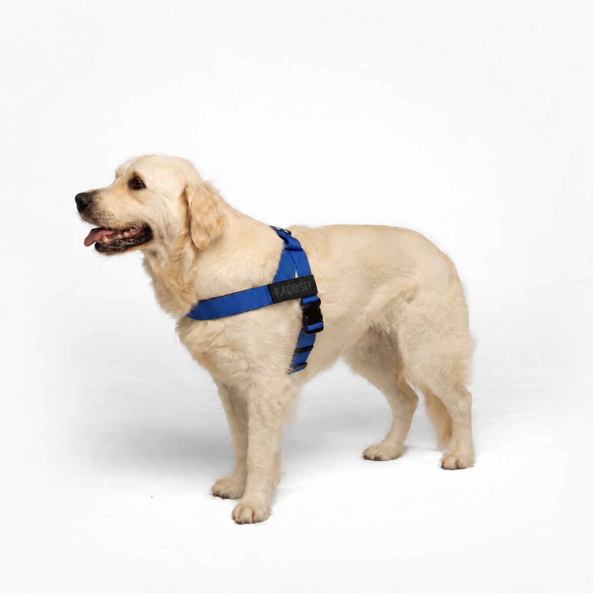 FidoSit adjustable dog harness in Classic Blue, product photo 3