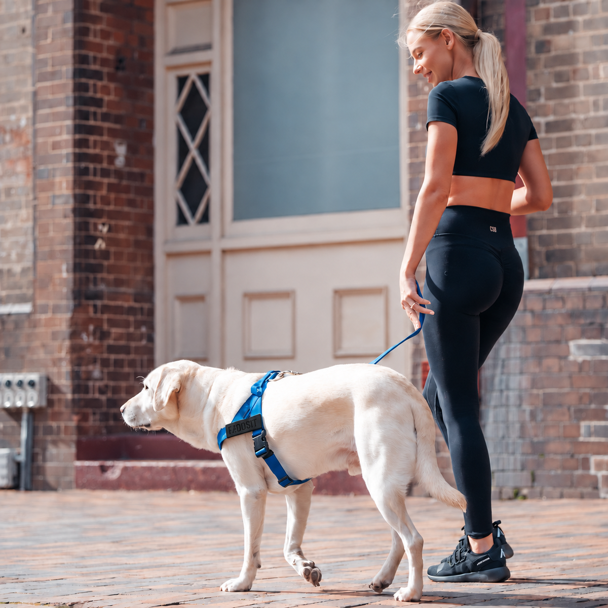 FidoSit adjustable dog harness in Classic Blue, product photo 5