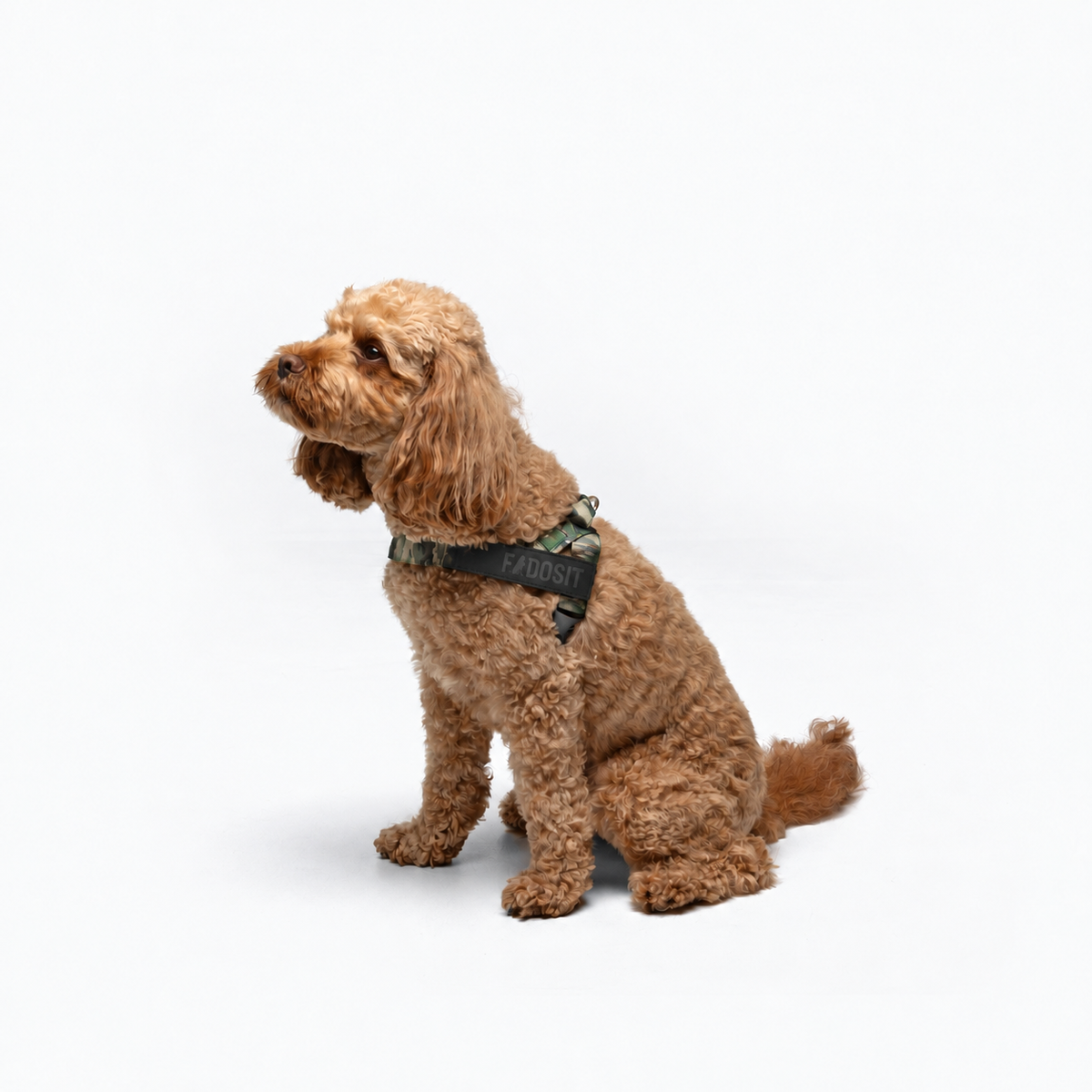 FidoSit adjustable dog harness in Green Camo, product photo 4