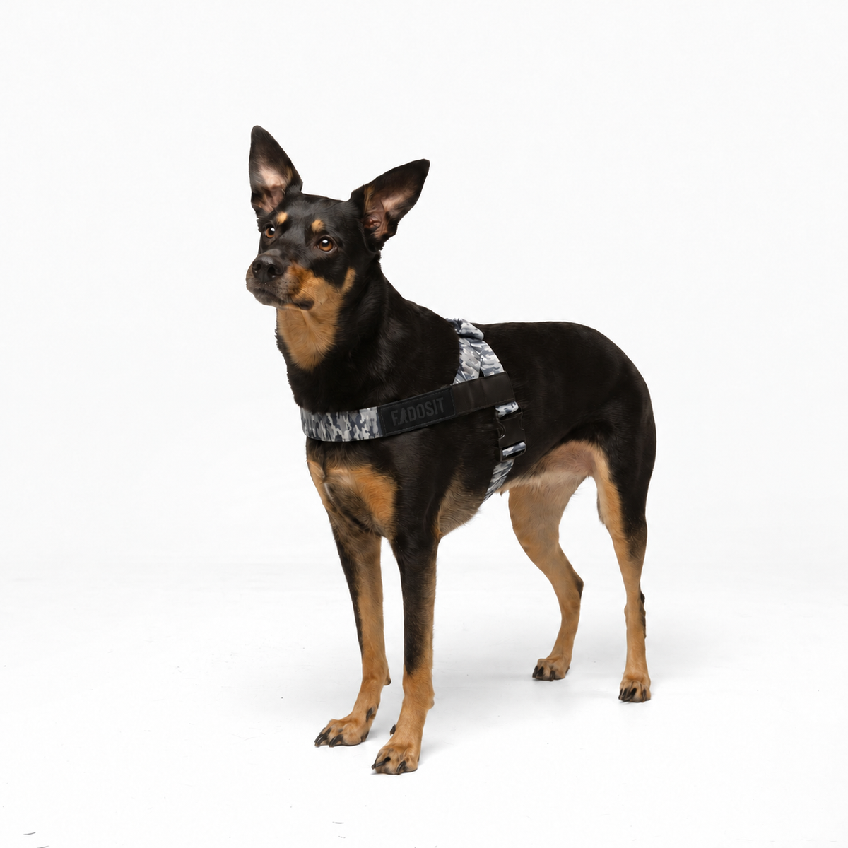 FidoSit adjustable dog harness in Grey Camo, product photo 3