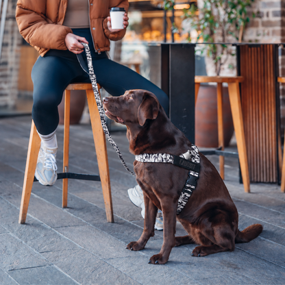 FidoSit adjustable dog harness in Grey Camo, product photo 5