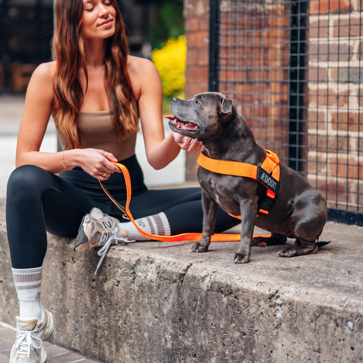FidoSit adjustable dog harness in Hi-Vis Orange, product photo 5