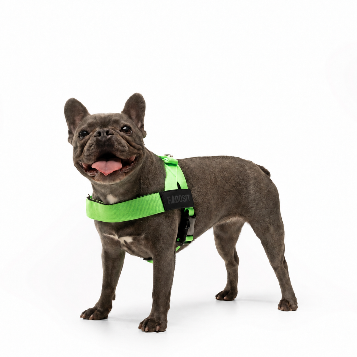FidoSit adjustable dog harness in Neon Green, product photo 4