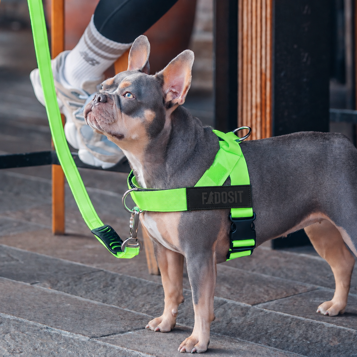 FidoSit adjustable dog harness in Neon Green, product photo 6