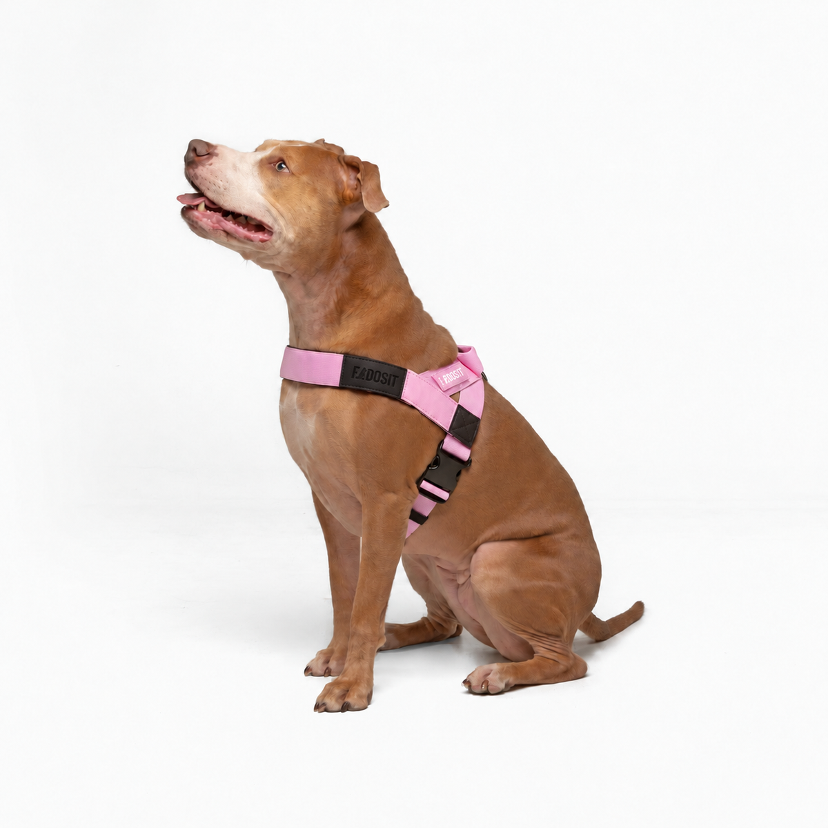 FidoSit adjustable dog harness in Pink, product photo 3