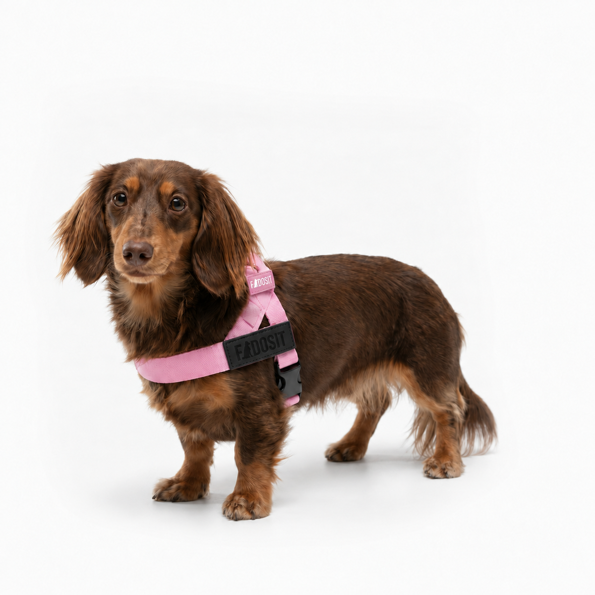 FidoSit adjustable dog harness in Pink, product photo 4