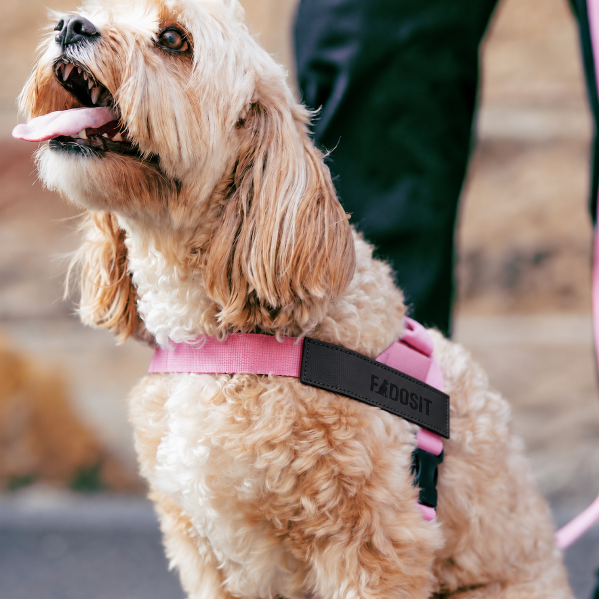 FidoSit adjustable dog harness in Pink, product photo 6