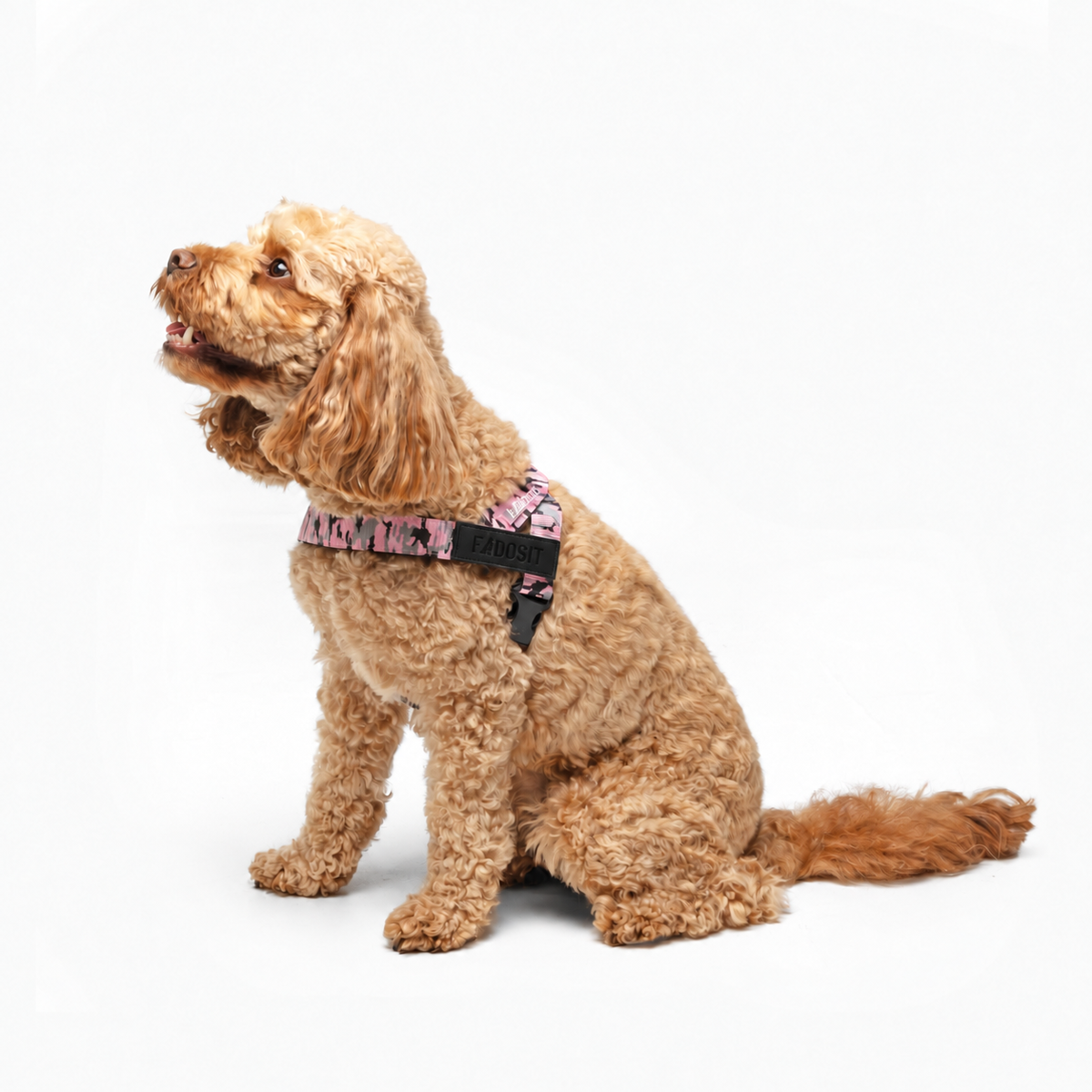 FidoSit adjustable dog harness in Pink Camo, product photo 3
