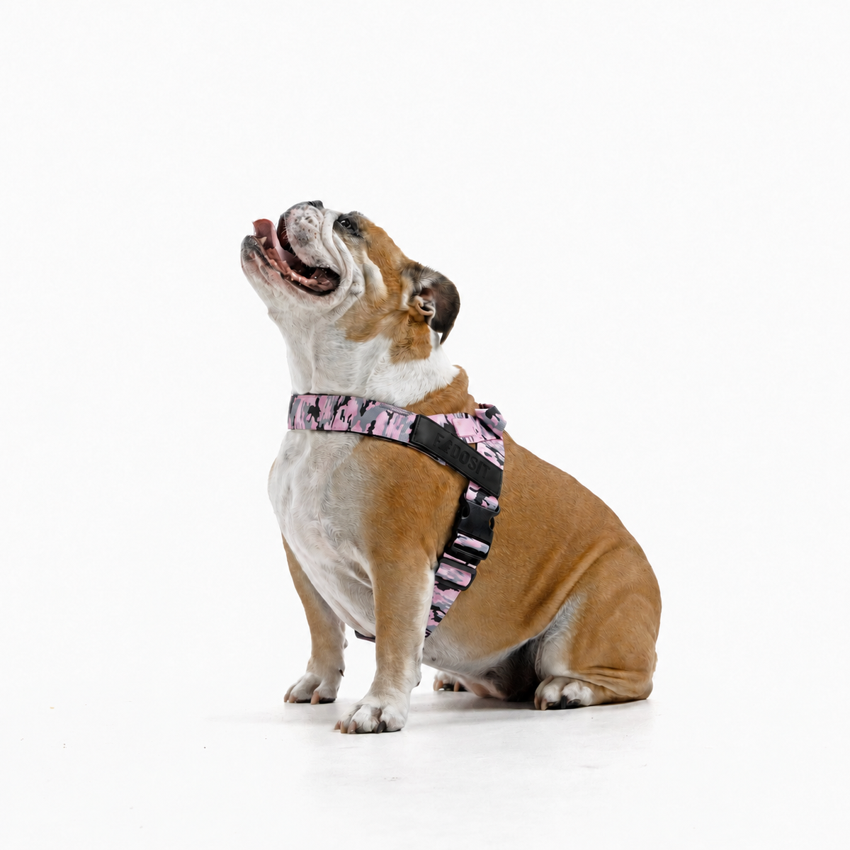 FidoSit adjustable dog harness in Pink Camo, product photo 4