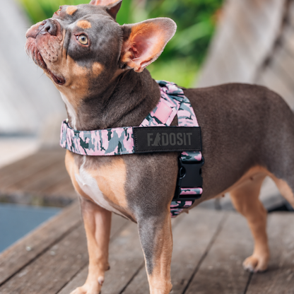 FidoSit adjustable dog harness in Pink Camo, product photo 6