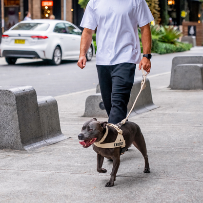 FidoSit adjustable dog harness in Premium Brown, product photo 5