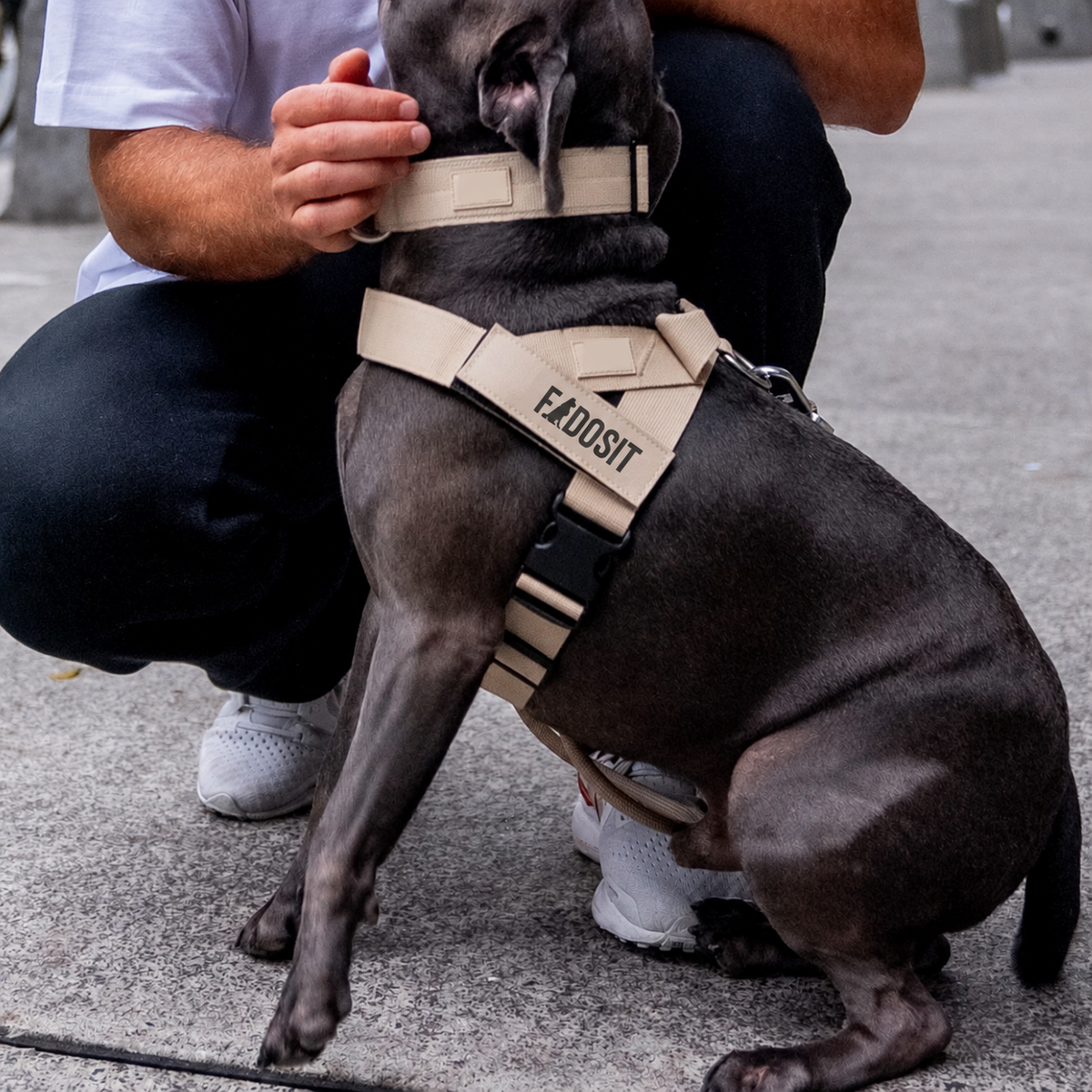 FidoSit adjustable dog harness in Premium Brown, product photo 6