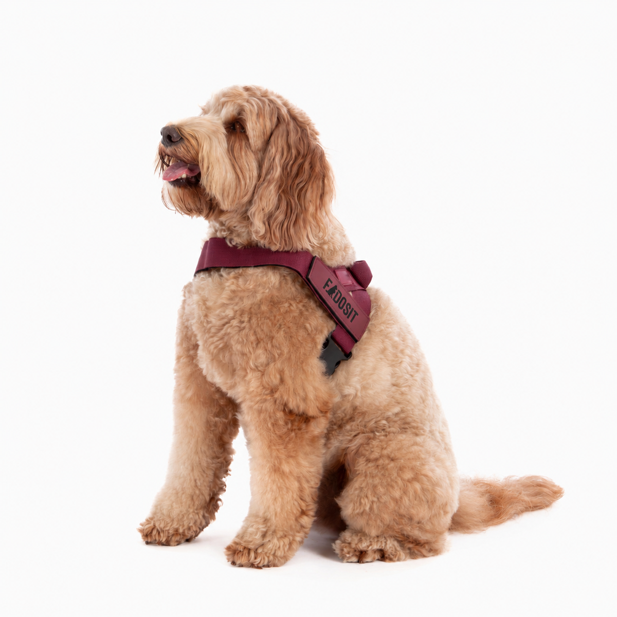 FidoSit adjustable dog harness in Premium Burgundy, product photo 3