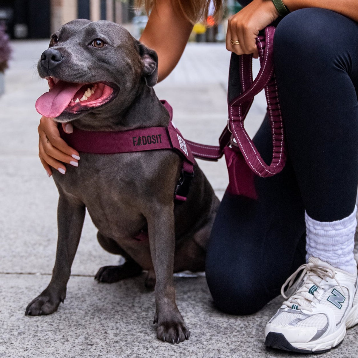 FidoSit adjustable dog harness in Premium Burgundy, product photo 6
