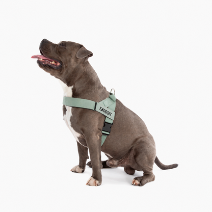 FidoSit adjustable dog harness in Premium Khaki, product photo 3