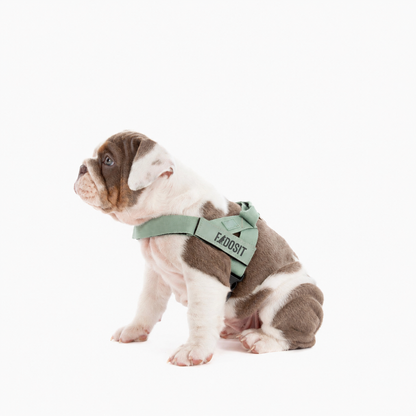 FidoSit adjustable dog harness in Premium Khaki, product photo 4
