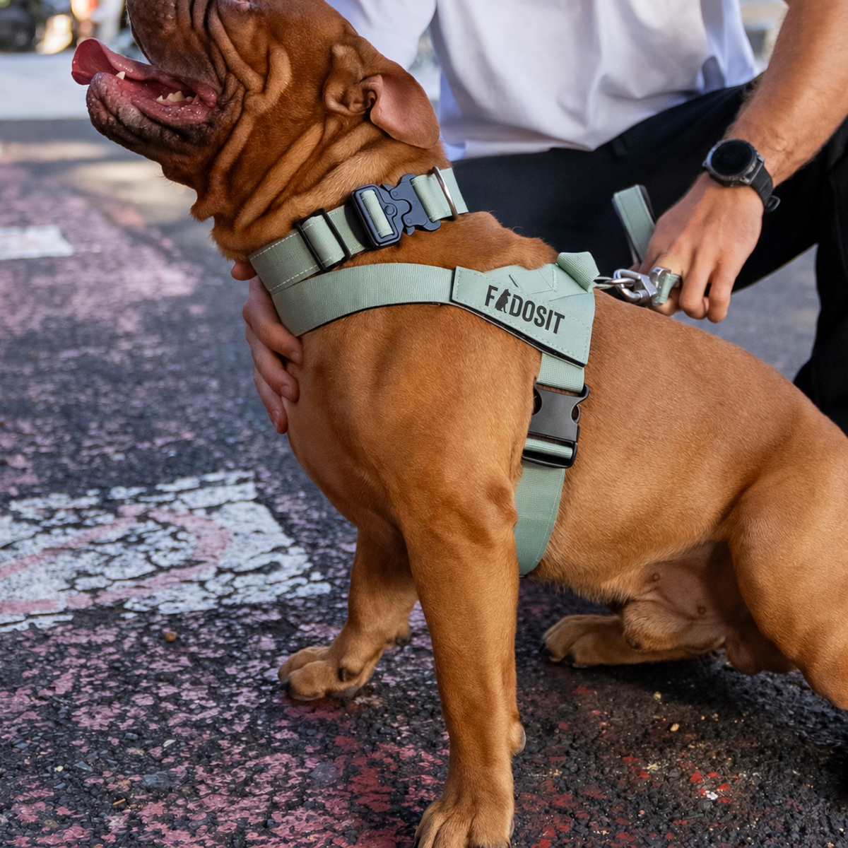 FidoSit adjustable dog harness in Premium Khaki, product photo 6