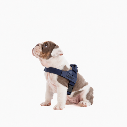 FidoSit adjustable dog harness in Premium Navy Blue, product photo 4