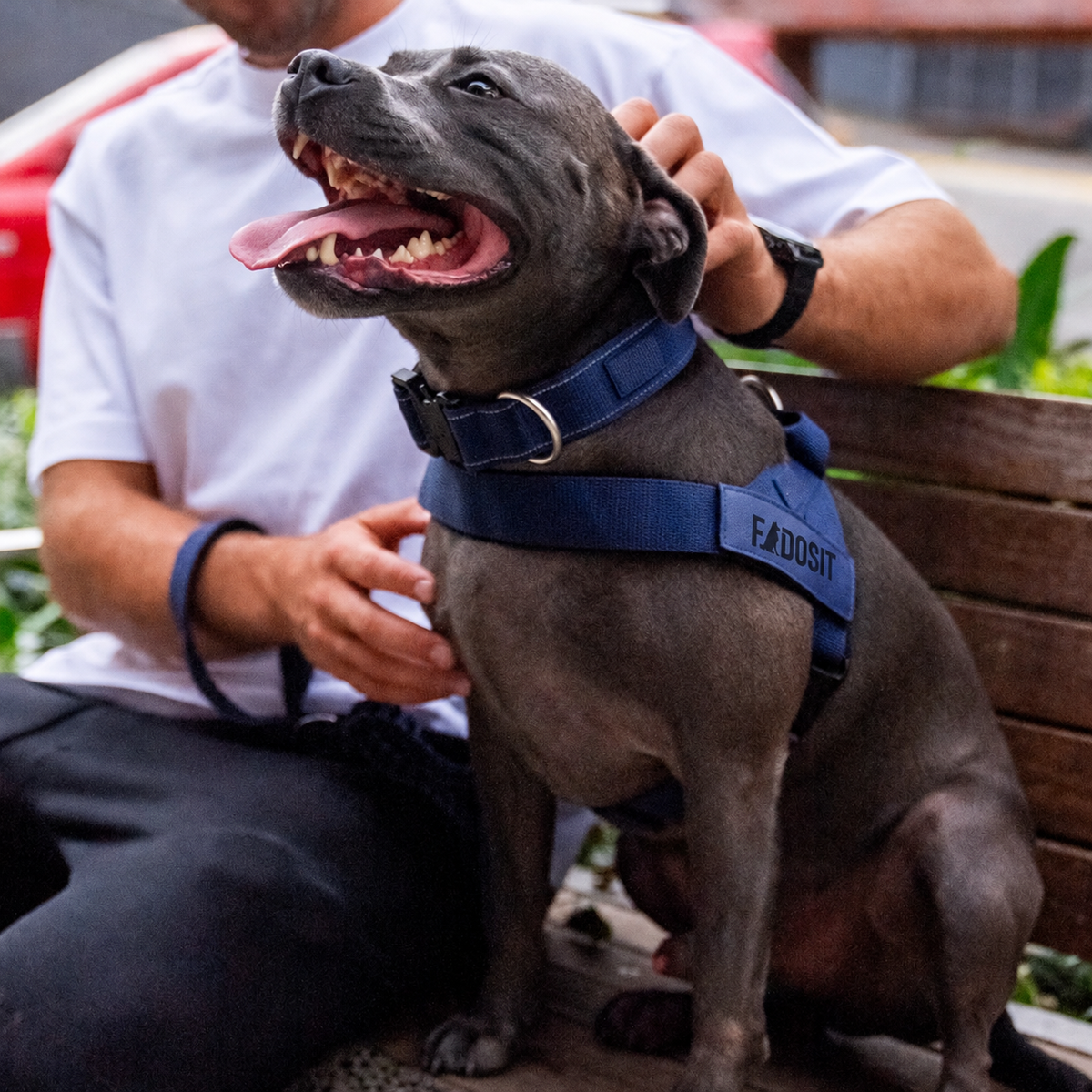FidoSit adjustable dog harness in Premium Navy Blue, product photo 6