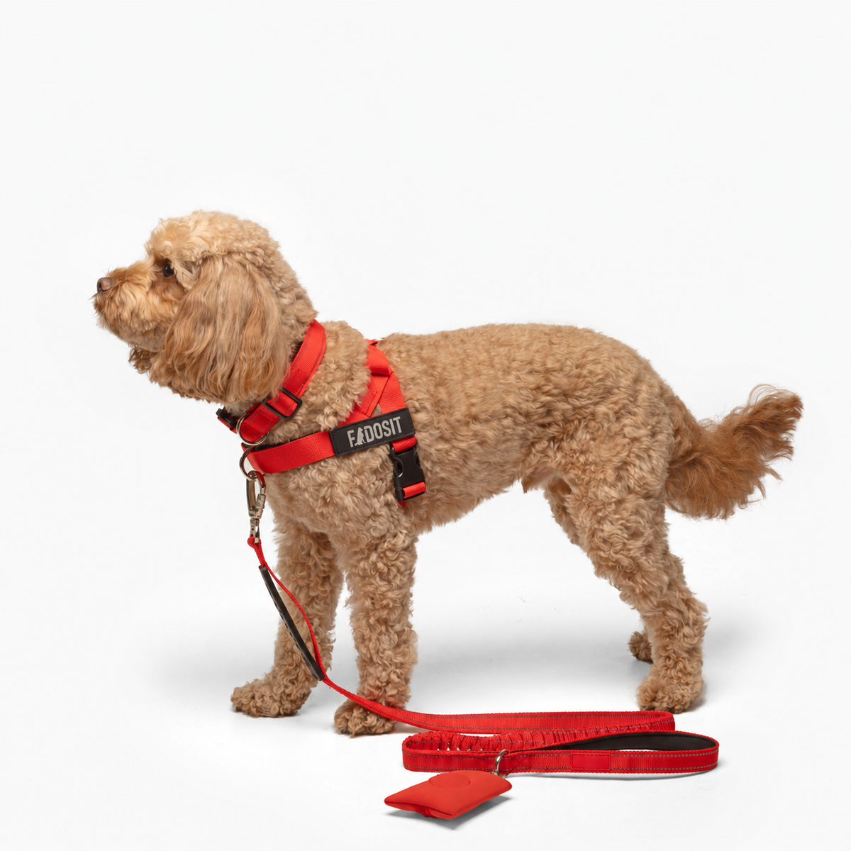 FidoSit adjustable dog harness in Red, product photo 3