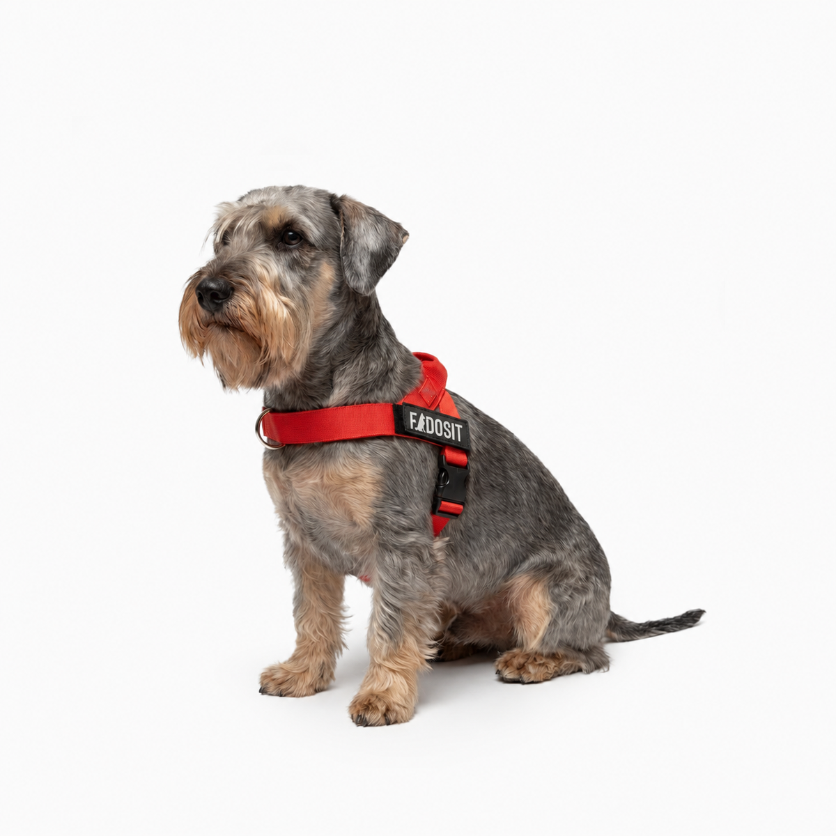 FidoSit adjustable dog harness in Red, product photo 4