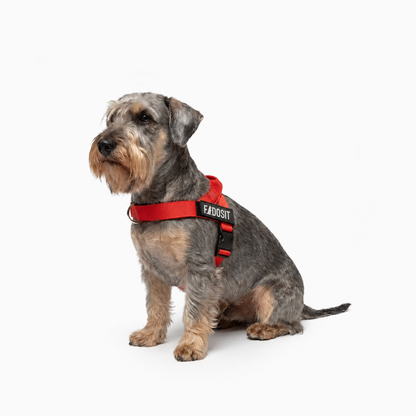 FidoSit adjustable dog harness in Red, product photo 4