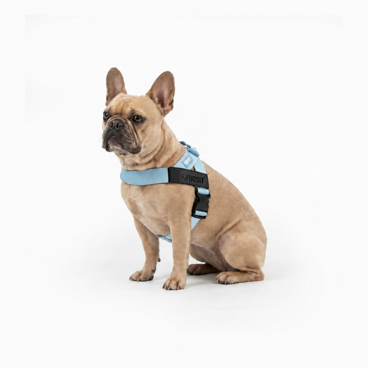 FidoSit adjustable dog harness in Sky Blue, product photo 4