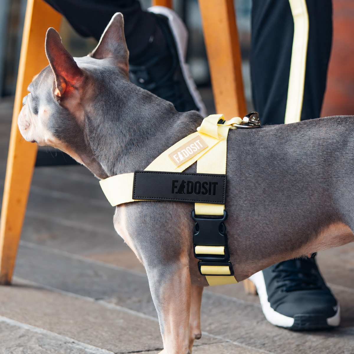 FidoSit adjustable dog harness in Yellow, product photo 6